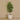 Trees.-Artificial Longifolia Tree <br> 180cm-Bloomr