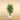 Trees-Artificial Longifolia Tree 150cm-Bloomr