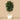 Trees-Artificial Longifolia Tree 300cm-Bloomr