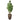 Trees-Artificial Money Tree <br> 210cm (Discontinued)-Bloomr