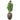 Trees-Artificial Money Tree <br> 210cm (Discontinued)-Bloomr