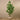 Trees-Artificial Money Tree <br> 210cm (Discontinued)-Bloomr