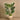 Trees-Artificial Monstera 170cm-Bloomr