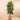 Trees-Artificial Rubber Tree <br> 180cm-Bloomr