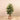 Trees-Artificial Rubber Tree <br> 130cm-Bloomr