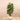 Trees-Artificial Rubber Tree <br> 150cm-Bloomr