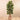 Trees-Artificial Rubber Tree <br> 180cm-Bloomr