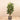 Trees-Artificial Rubber Tree <br> 150cm-Bloomr