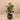 Trees-Artificial Oak Tree <br> 105cm (Discontinued)-Bloomr