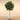 Trees-Artificial Oak Tree 240cm-Bloomr