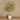 Trees-Artificial Olive Tree <br> 300cm-Bloomr