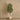 Trees-Artificial Olive Tree <br> 180cm-Bloomr