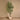 Trees-Artificial Olive Tree <br> 210cm-Bloomr