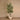 Trees-Artificial Olive Tree <br> 180cm-Bloomr