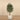 Trees-Artificial Olive Tree <br> 150cm-Bloomr