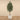 Trees-Artificial Olive Tree <br> 210cm-Bloomr