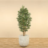 Artificial Olive Tree <br> 190cm - Bloomr