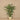 Trees-Artificial Palm Tree 165cm-Bloomr