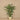 Trees-Artificial Palm Tree <br> 165cm-Bloomr