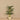 Trees-Artificial Palm Tree <br> 150cm-Bloomr