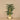 Trees-Artificial Palm Tree 190cm-Bloomr