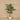 Trees-Artificial Palm Tree 150cm-Bloomr