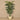 Trees-Artificial Palm Tree 210cm-Bloomr