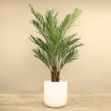 Artificial Palm Tree <br> 210cm - Bloomr