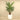 Trees-Artificial Palm Tree <br> 210cm-Bloomr