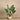 Trees-Artificial Philodendron <br> 120cm-Bloomr