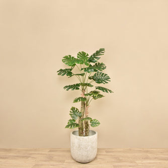 Artificial Philodendron Tree <br> 180cm - Bloomr