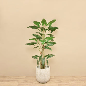Artificial Philodendron Tree <br> 210cm - Bloomr