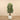 Trees-Artificial Raphis Palm 150cm-Bloomr
