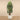 Trees-Artificial Raphis Palm 180cm-Bloomr