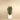Trees-Artificial Raphis Palm 150cm-Bloomr