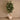Trees-Artificial Rubber Plant 180cm-Bloomr