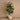 Trees-Artificial Rubber Plant 150cm-Bloomr