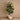 Trees-Artificial Rubber Plant <br> 150cm-Bloomr