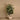 Trees-Artificial Rubber Plant 130cm-Bloomr