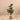 Trees-Artificial Rubber Plant <br> 120cm-Bloomr