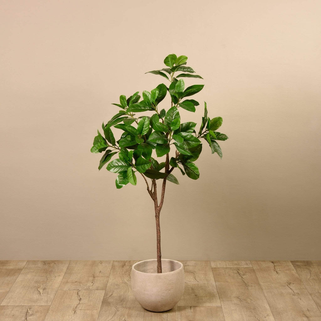 Artificial Rubber Tree - Bloomr