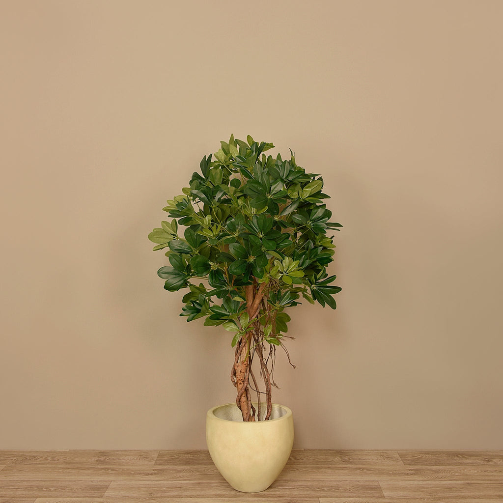 Artificial Schefflera Tree - Bloomr