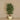 Trees-Artificial Smilax Tree <br> 150cm-Bloomr