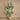 Trees-Artificial Strelitzia 210cm-Bloomr