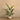Trees-Artificial Strelitzia Palm 150cm-Bloomr