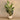 Trees-Artificial Strelitzia Palm <br> 195cm (Discontinued)-Bloomr