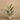 Trees-Artificial Strelitzia Palm 150cm-Bloomr