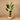 Trees-Artificial Strelitzia Palm 180cm-Bloomr