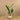 Trees-Artificial Strelitzia Palm 160cm-Bloomr