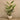 Trees-Artificial Strelitzia Palm 195cm-Bloomr